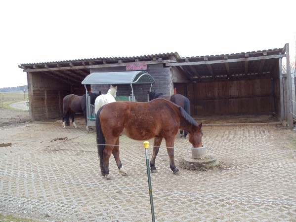 Große Stallungen mit befestigten Paddock, 